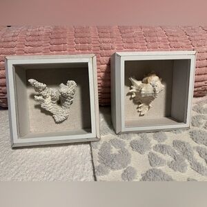 White Shadow Box Coral Wall Art Set